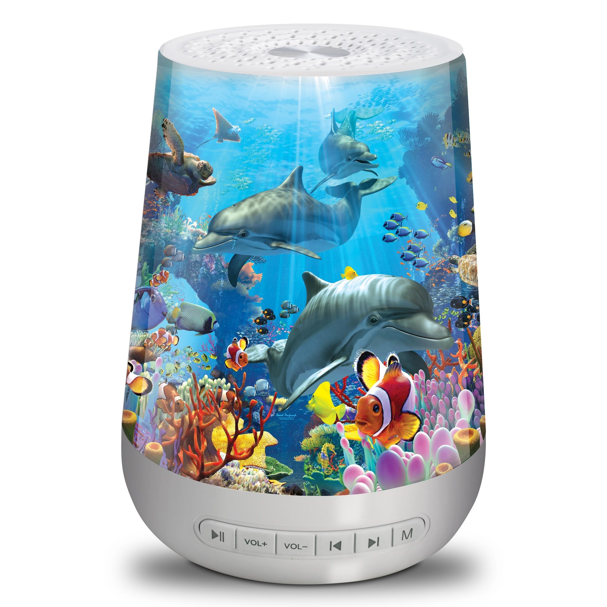 Amazon.com: The Bradford Exchange Illuminated Sound Machine with